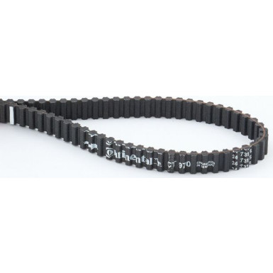 CT970 Zahnriemen CT970 Zahnriemen