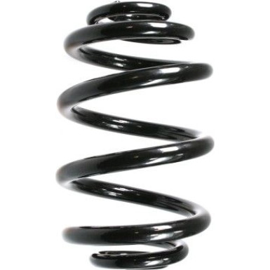 Spidan | Fahrwerksfeder | 55122