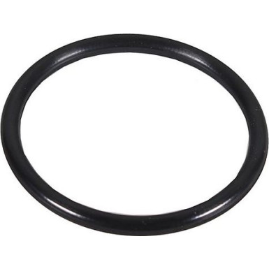 Metzger Dichtring, Lader 2430159
