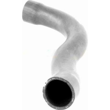 Vaico | Kühlerschlauch | V20-1750