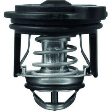 TI 246 50 Thermostat, Kühlmittel BEHR