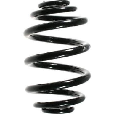 Spidan | Fahrwerksfeder | 55119
