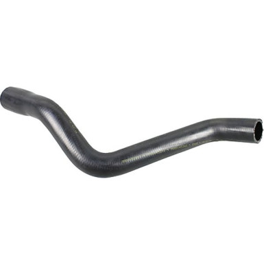 2420966 Kühlerschlauch