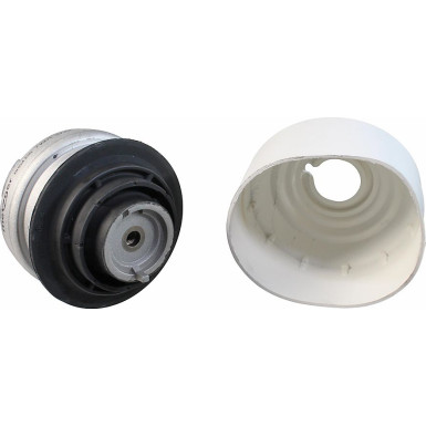 8054128 Lagerung, Motor