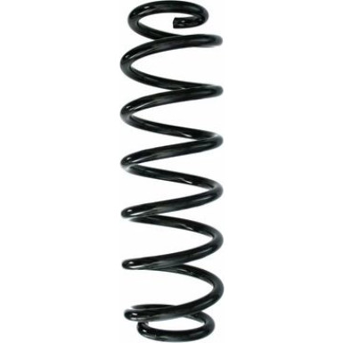 Spidan | Fahrwerksfeder | 87639