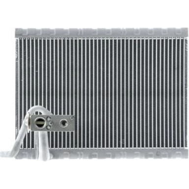 AE 124 000P Verdampfer, Klimaanlage BEHR *** PREMIUM LINE ***
