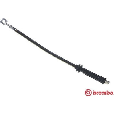 Brembo | Bremsschlauch | T 10 017