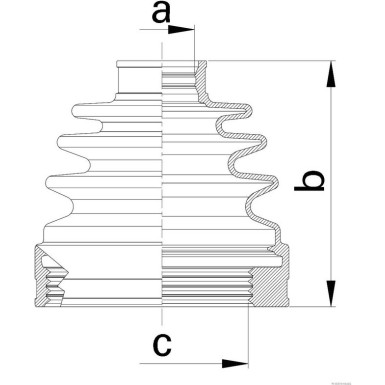 J2881035 Faltenbalgsatz, Antriebswelle