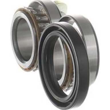 SKF | Radlagersatz | VKBA 3666