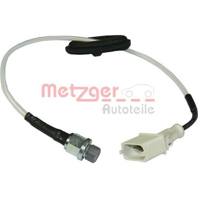 Metzger | Sensor, Zylinderkopftemperatur | 0905384