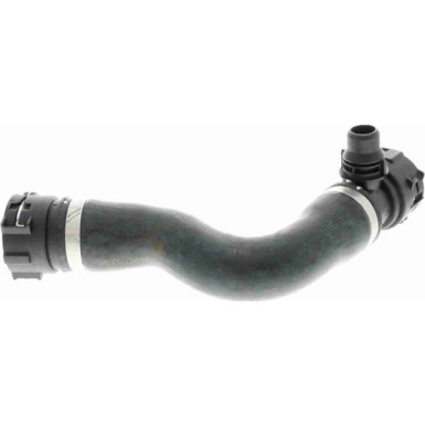 Vaico | Kühlerschlauch | V20-1301