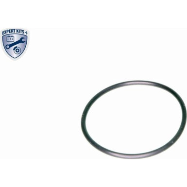 V10-0440 Hydraulikfilter, Automatikgetriebe EXPERT KITS + V10-0440 Hydraulikfilter, Automatikgetriebe EXPERT KITS +