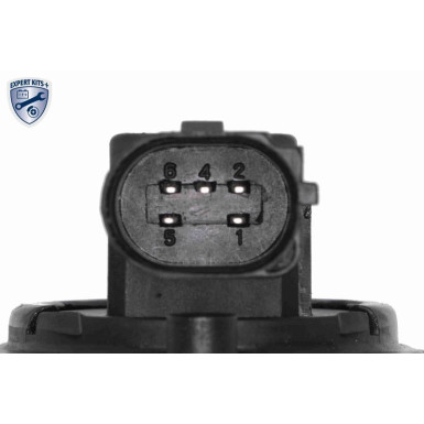 Vemo | AGR-Ventil | V24-63-0003