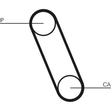 CT561 Zahnriemen CT561 Zahnriemen