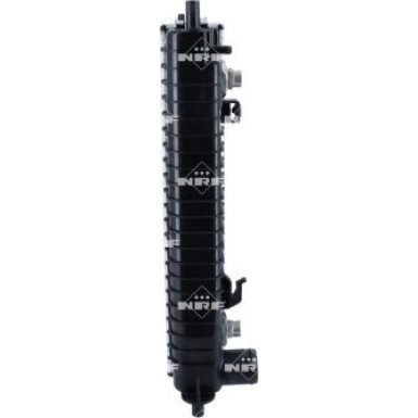 NRF | Kühler, Motorkühlung | 56035