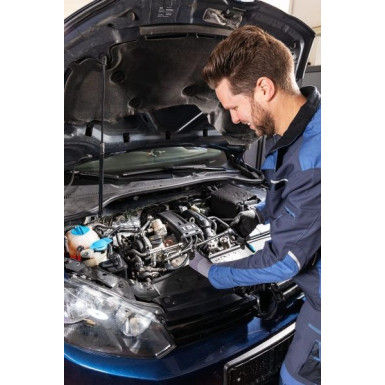 880AKF Steckschlüsseleinsatz