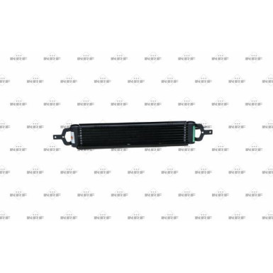 NRF | Ölkühler, Automatikgetriebe | 31809