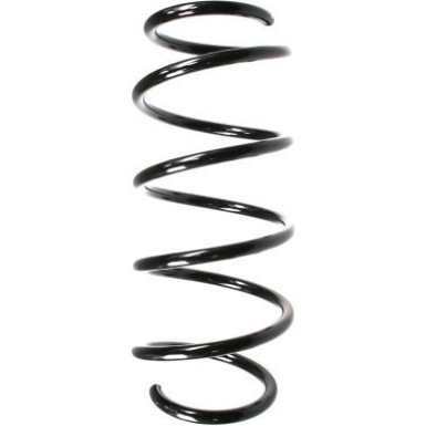 Spidan | Fahrwerksfeder | 55958