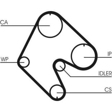 CT529 Zahnriemen