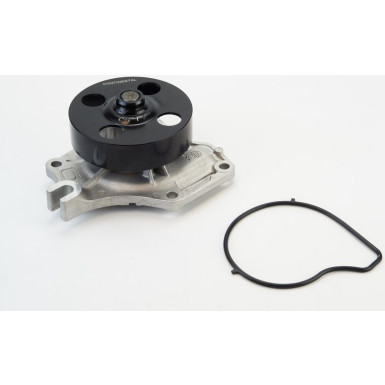 WPS3165 Wasserpumpe, Motorkühlung WPS3165 Wasserpumpe, Motorkühlung