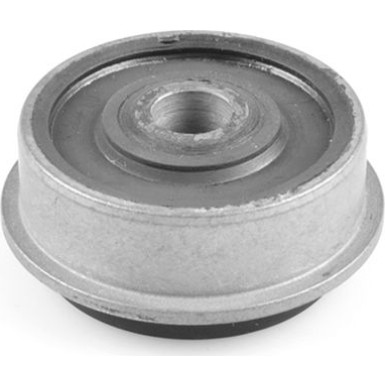 00725908 Lagerung, Achskörper