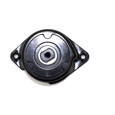 534 0171 10 Riemenspanner, Keilrippenriemen