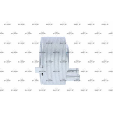NRF | Ölkühler, Motoröl | 31353