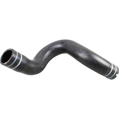 2420980 Kühlerschlauch