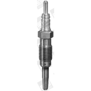 BorgWarner (BERU) | Glühkerze | GN030