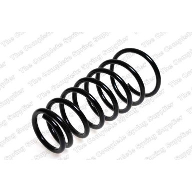 4237216 Fahrwerksfeder