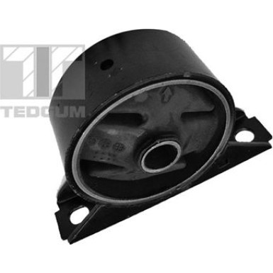 Tedgum | Lagerung, Motor | 00746499