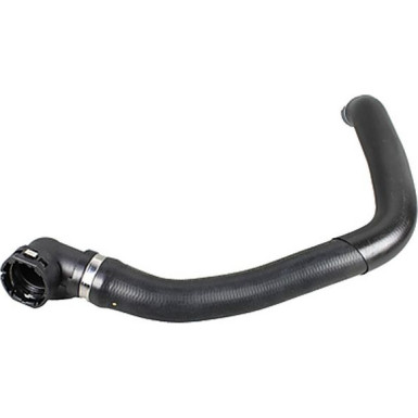 2420979 Kühlerschlauch
