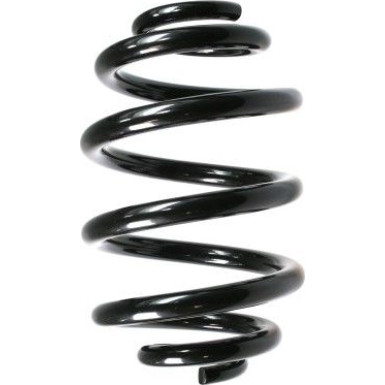 Spidan | Fahrwerksfeder | 55305