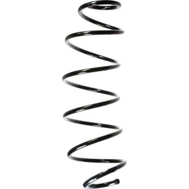 Spidan | Fahrwerksfeder | 55164