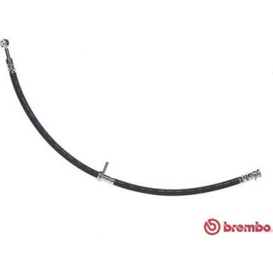 Brembo | Bremsschlauch | T 79 043