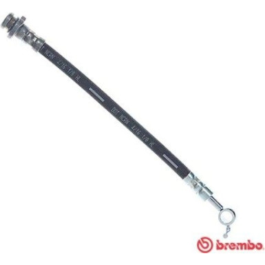 Brembo | Bremsschlauch | T 56 163