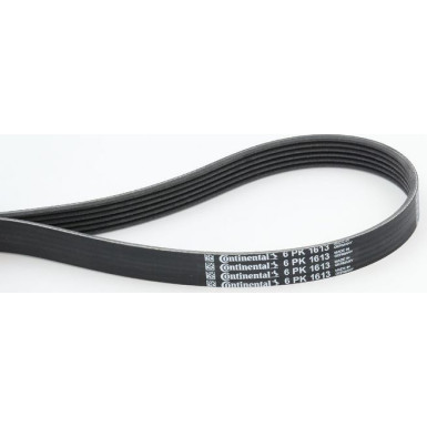 ContiTech | Keilrippenriemen | 6PK1613