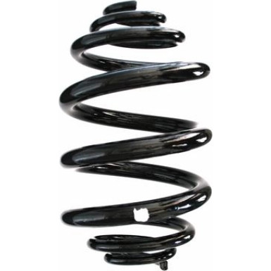 Spidan | Fahrwerksfeder | 49146