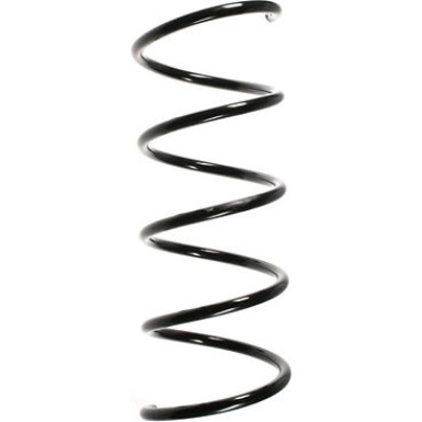 Spidan | Fahrwerksfeder | 55754