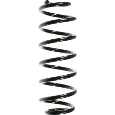 Spidan | Fahrwerksfeder | 56058