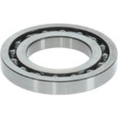 BOSCH | Lager | 1 460 925 001