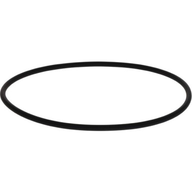 BOSCH | Dichtring | 2 410 210 050
