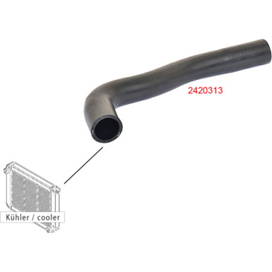 2420313 Kühlerschlauch