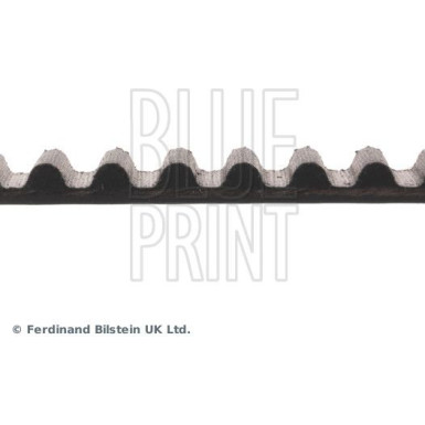 Blue Print | Zahnriemen | ADM57508