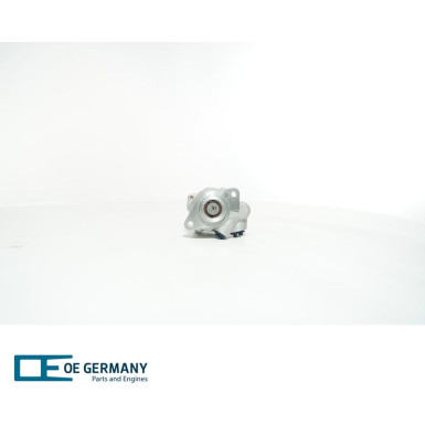 OE Germany | Hydraulikpumpe, Lenkung | 02 1390 200006