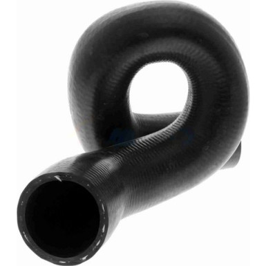 Vaico | Kühlerschlauch | V40-0374