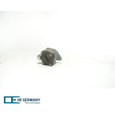 OE Germany | Hydraulikpumpe, Lenkung | 02 1390 200001