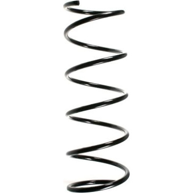 Spidan | Fahrwerksfeder | 55154