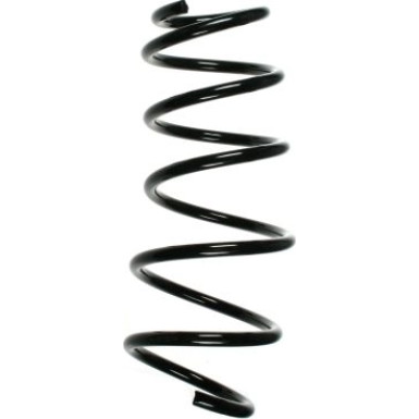 Spidan | Fahrwerksfeder | 56037