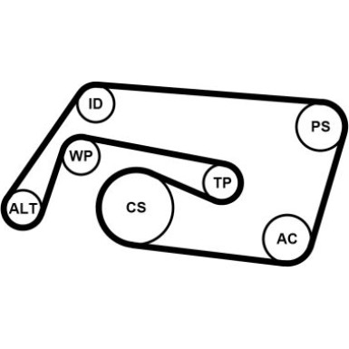 ContiTech | Keilrippenriemensatz | 6PK2260K2